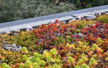 the cost of Dunks Green green roof installation