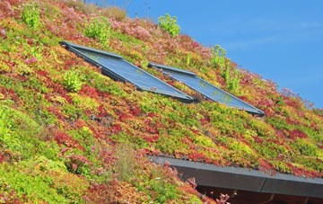 Dunks Green living roof systems