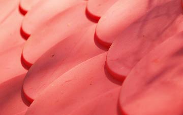 Dunks Green plastic roof costs