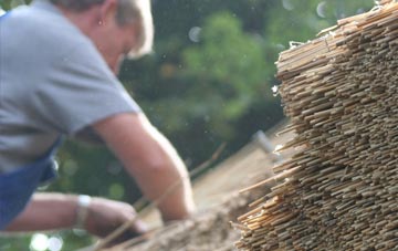 professional Dunks Green thatchers