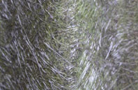 Dunks Green fibreglass roof work